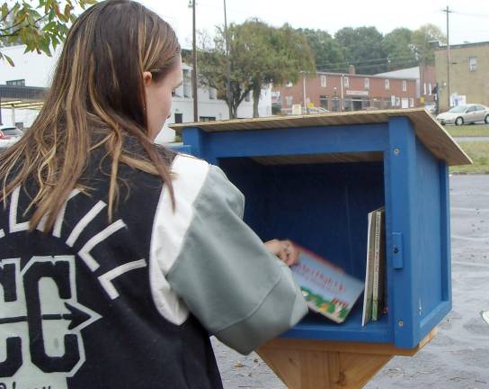 Riley Cunniffe arranges the free library books.