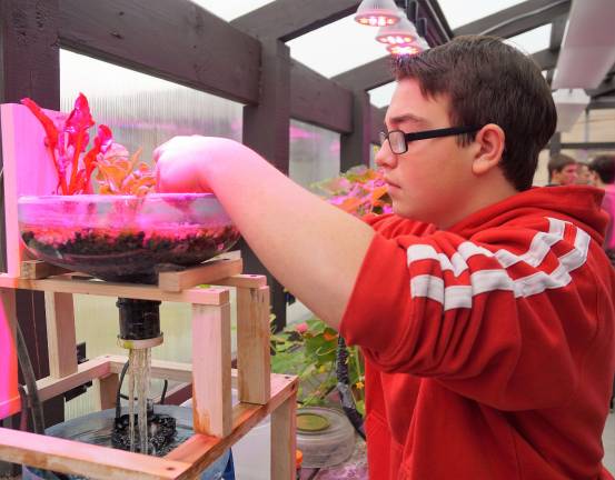 High Point opens new greenhouse Augustin maintains the Aquaponics system.