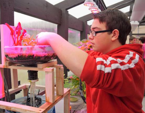 Augustin maintains the Aquaponics system.