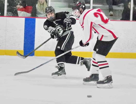 Parsippany Regional's Suveer Singh hits the puck past High Point-Wallkill Valley's Peter Paszkiel in the second period.