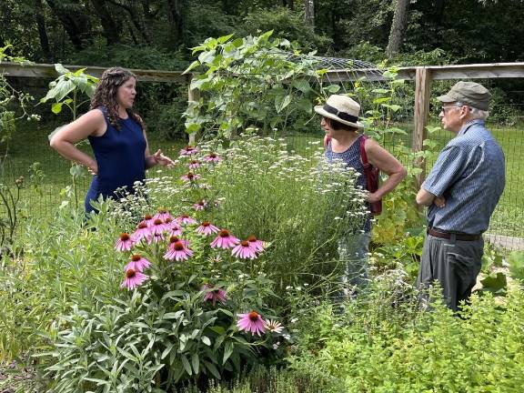Local gardeners win props for their crops at Kitchen Garden Tour Sparta, N.J. gardener Megan Curry shows attendees around the “raised bed garden of dreams” her family started during the pandemic. Photo: Bill Woolley