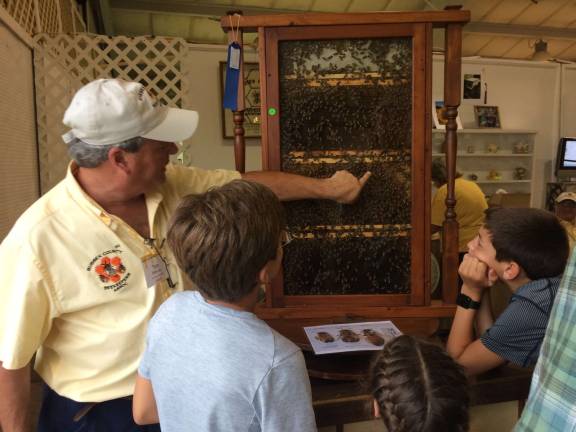 Tom Makoujy of the Sussex County Beekeepers Association explains how a hive works to children.