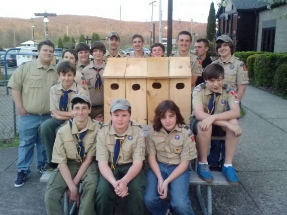 Franklin Eagle Scout completes project The troop is shown with the duck boxes.