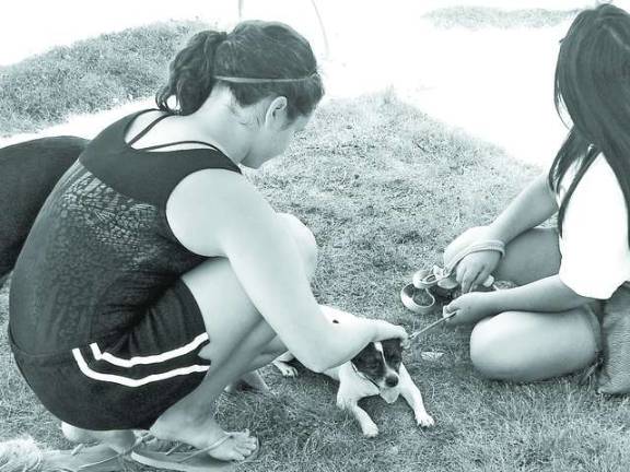 Gymnast Morgyn Witt, of Newton, petting an animal of OSCAR.