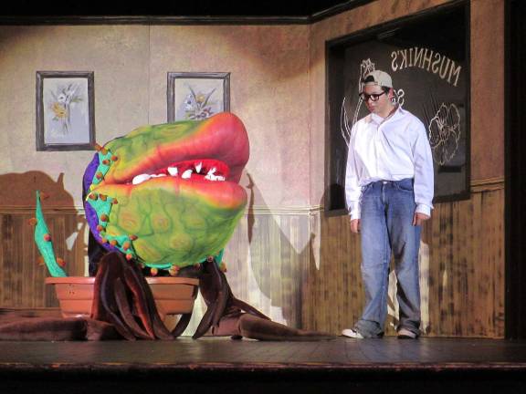 Sussex Vo-Tech performs 'Little Shop of Horrors' Photo by Viktoria-Leigh Wagner David Lisoba, as Seymour, is seen arguing with his man-eating plant, Audrey II, named after his crush.
