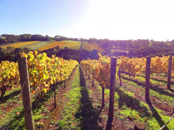 Bipartisan bill promotes agricultural tourism at wineries signed into law Bipartisan bill promotes agricultural tourism at wineries signed into law