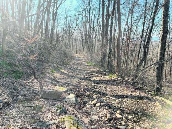 The Old Hamburg Turnpike. (File photo by Bill Truran)