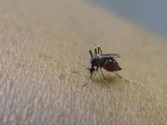 First case of West Nile Virus confirmed in New Jersey