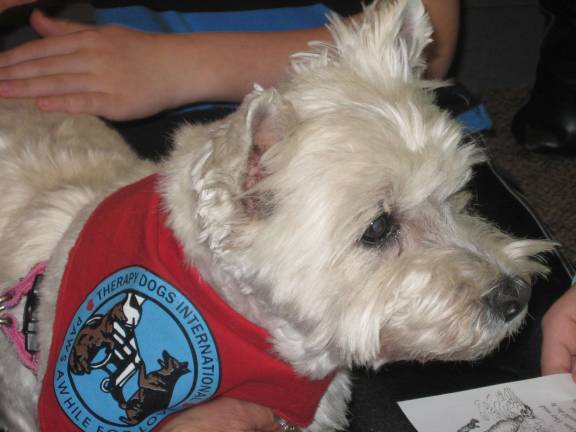 Tail waggin' fun at the library Mazie is a certified therapy dog with TDI.