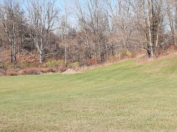 The site of the proposed lineman training program at Wallkill Valley Regional High School in Hardyston, where the outdoor portion of the course will be held (Photo by Laura J. Marchese)