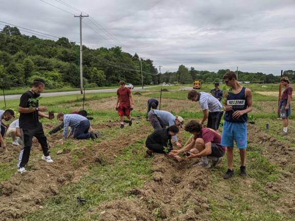 Public invited to SCCC Student Farm on Fridays Students in the horticultural science program at SCCC plant crops on the Student Farm. (Photo provided)