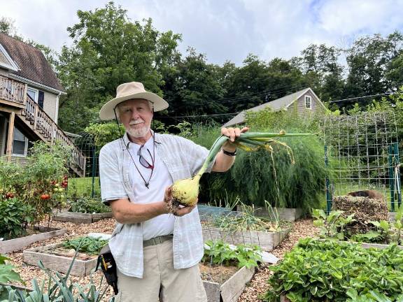 Local gardeners win props for their crops at Kitchen Garden Tour Lafayette, N.J. gardener Russell Anema holds a freshly harvested onion. Photo by Holly Odgers.