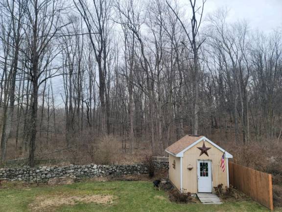 If a project is approved, the woods behind the Jervis home in Hamburg will be replaced by a three-story rental complex.