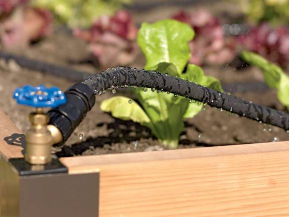 Photo credit: courtesy of Gardener's Supply Company Drip irrigation systems apply the water directly to the soil which reduces water lost to overspray, evaporation and runoff.