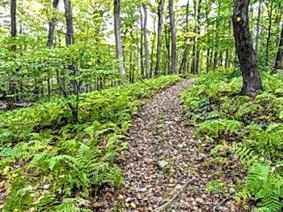 N.J. buys 473 acres of Scout reservation <b>Trail in the newly acquired addition to Allamuchy Mountain State Park. (Photos provided)</b>