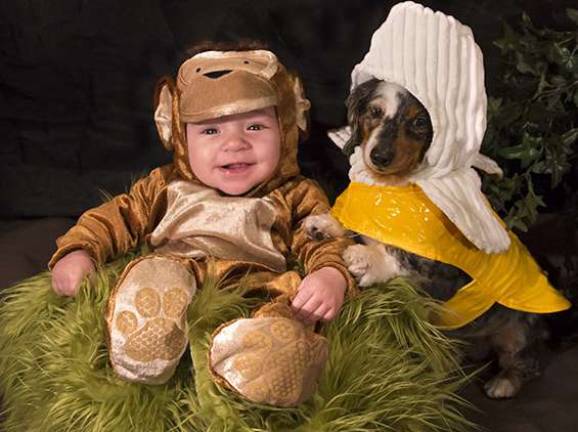 Submitted by Christy Graham of Hardyston &quot;Monkeying around! Our son Bryden is dressed up as a Monkey and his furry sister Zoey is a banana!&quot;