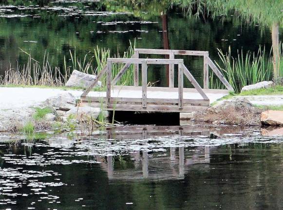 Where in Ogdensburg? Heater's Pond footbridge