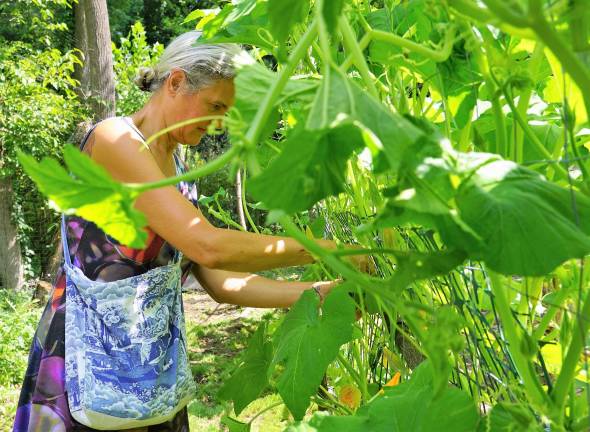 Stefanie Jasper works in one of her organic pumpkin patches.