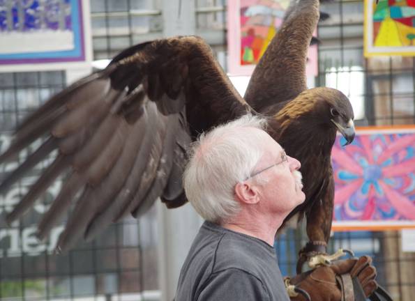 Always a favorite at Vernon&#xfe;&#xc4;&#xf4;s Earthfest, Bill Streeter of the Delaware Valley Raptor Center is shown with a Golden Eagle during a Birds of Prey demonstration.