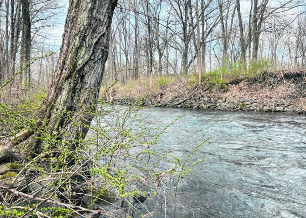 The fish were biting in this quiet spot along the Wallkill River where flow was slower. (Photo by Bill Truran)