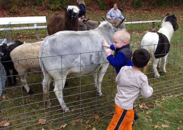 The petting zoo provided by Karen&#x2019;s Pony Rides &amp; Petting Zoo gave the children a chance to meet and sometimes touch a wide variety of animals including Frankie Sinatra, a South American Zebu, a type of domesticated cow.