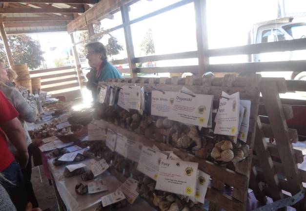 Sussex County celebrates fall with Harvest, Honey and Garlic Fest at Fairgrounds Garlic displays from the Catalpa Ridge Farm, in Wantage.