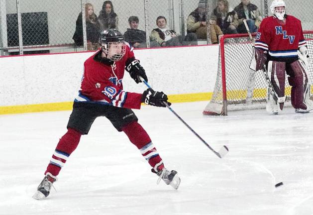 Newton-Lenape Valley's Cameron Cherry hits the puck. Cherry contributed 1 assist in the third period.