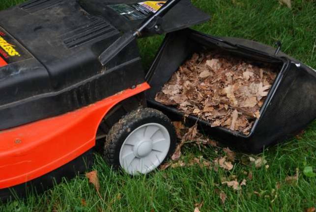 Melinda Myers, LLC Shred fall leaves with a mower and leave them on the lawn to add organic matter and nutrients to the soil.