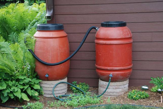 Melinda Myers, LLC Collecting rain in rain barrels when it is plentiful and storing it until it is needed is an effective way to manage water for the landscape.