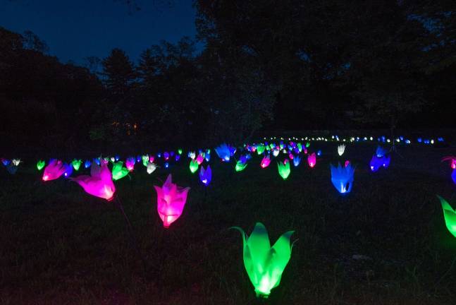 A field of otherwordly tulips made from recycled jugs