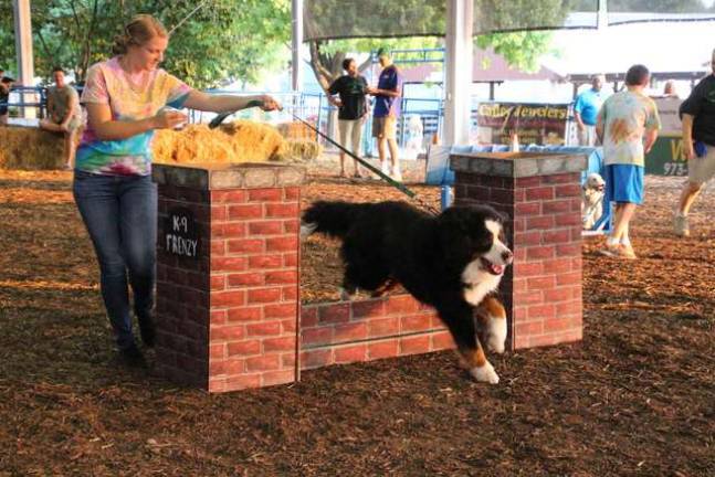 Smiles and fun at the fair Warming up for the show ring.