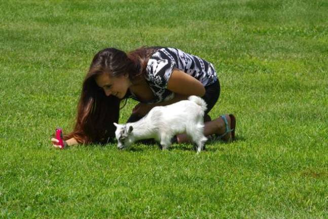 Kaitlyn Coppolella, 15, of Hardyston takes a &#x201c;selfie&#x201d; with a baby goat.