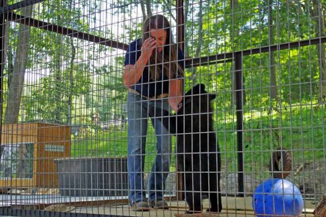 Urban Tarzan plays with this 7-month-old New Jersey black bear he named &quot;Rasper.&quot;