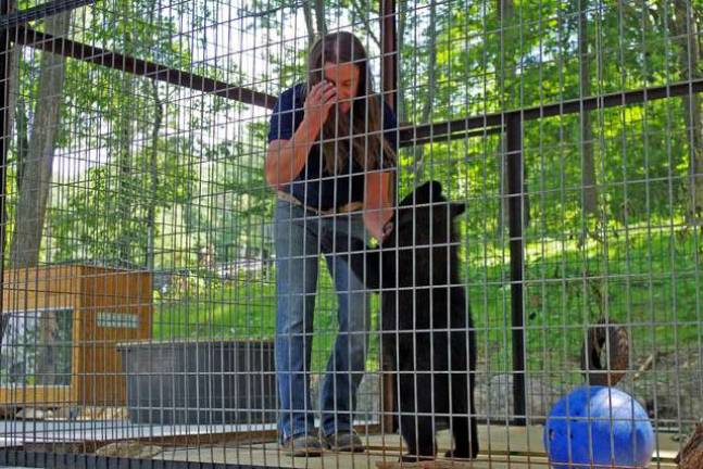 This Tarzan doesn't swing from trees Urban Tarzan plays with this 7-month-old New Jersey black bear he named "Rasper."