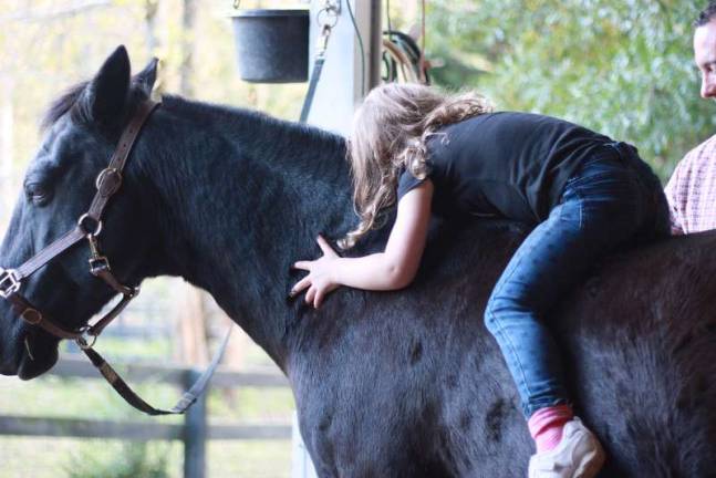 New business offers therapy through horses Ella hugs Blackjack.