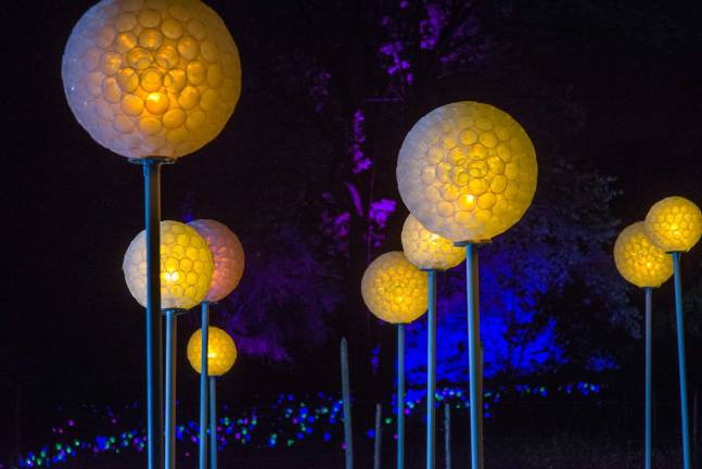 Glowing dandelions.