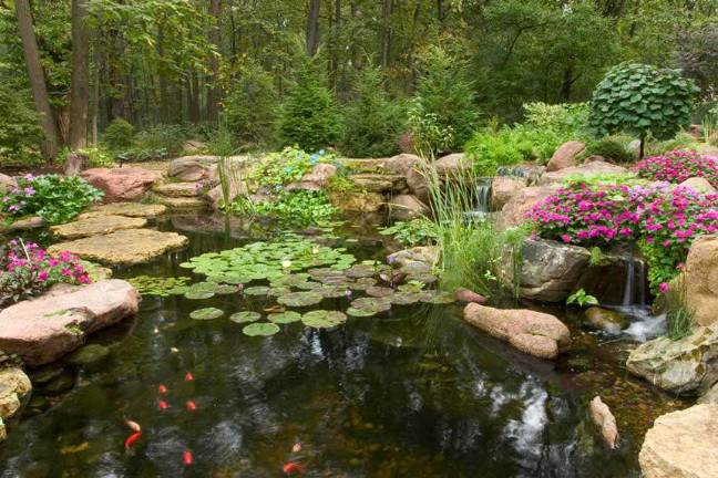 How much does a Koi Pond or Water Garden cost?