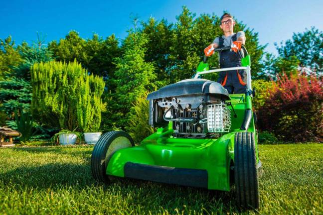 Tips for hiring a local lawn service