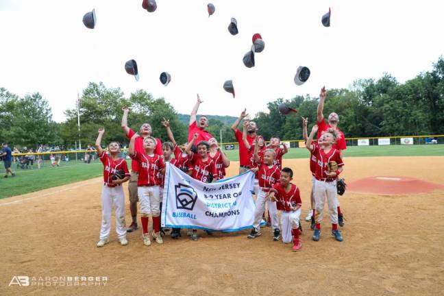 Little League team wins district title