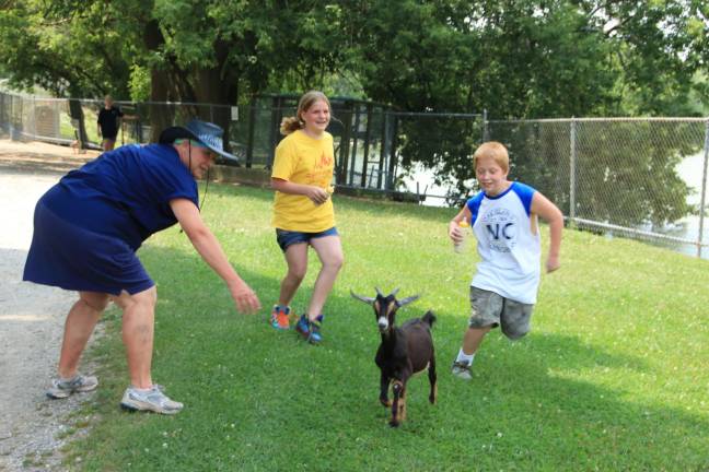 Kevin Armstring of Hamburg and Nicole Whitehead of Wantage goat herding with Lori Space Day. Photo by Gale Miko