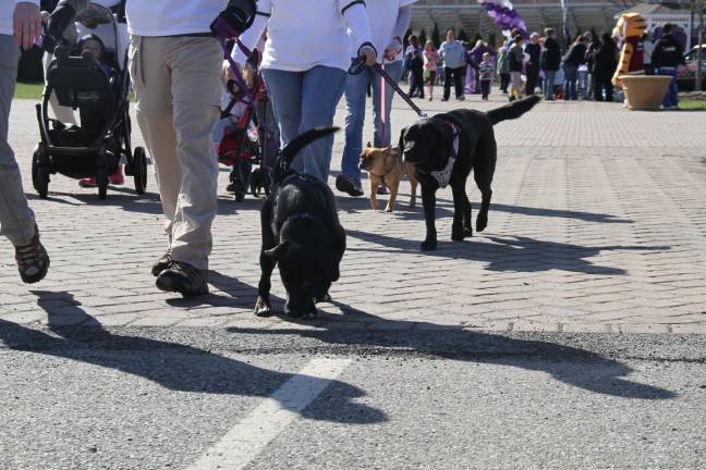 Dogs walk to support healthy babies.