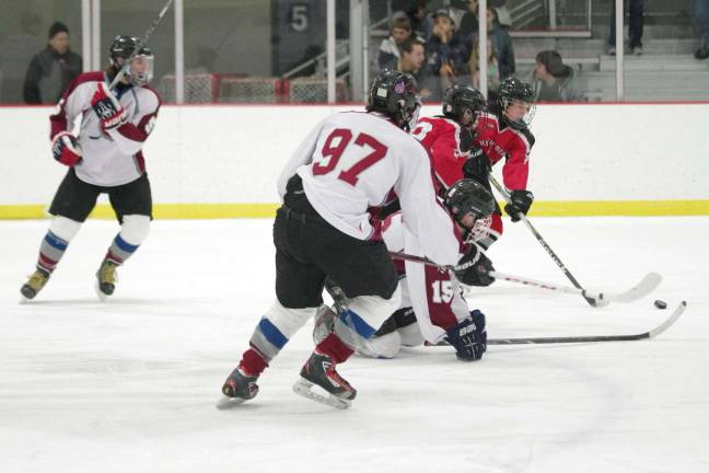 Newton-Lenape Valley win hockey matchup