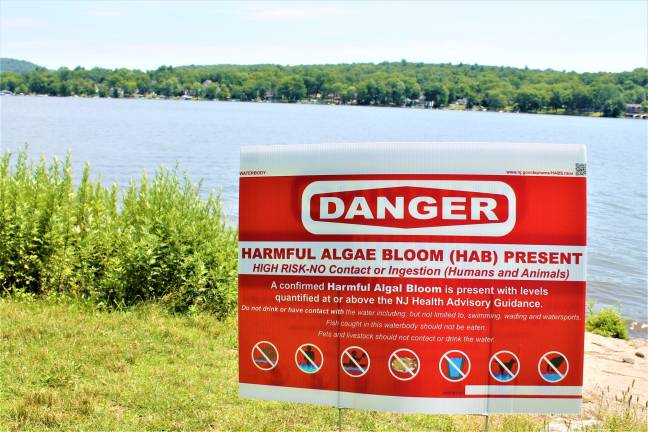 A lakeside sign at Brown's Point Park warning of danger of harmful algae bloom was put up by the state Tuesday morning. Garrett hemmerich photo