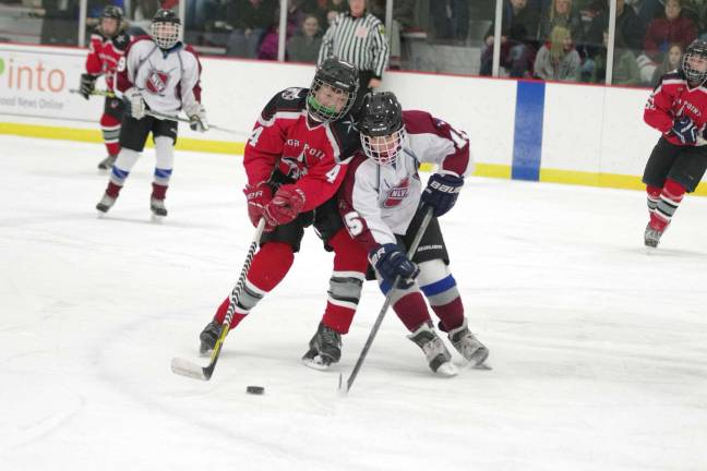 High Point-Wallkill Valley's Will Eckert is challenged by Newton-Lenape Valley's Kevin Rodriguez for control of the puck.