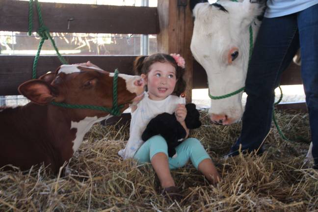 Sofia Hallak of Wantage thinks this cow wants her lollypop.