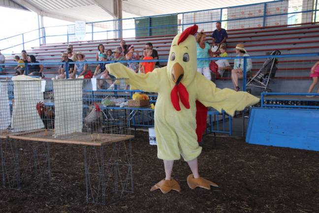 Sussex county poultry fanciers mascot gets ready for the rooster crowing contest.