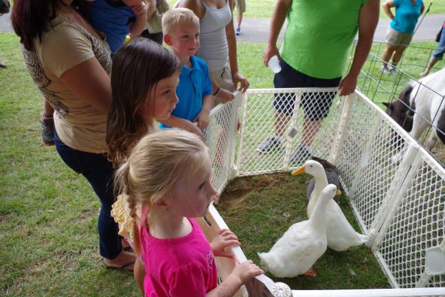 Ducks and a young rabbit were available to pet as well as some larger and more exotic farm-type animals.