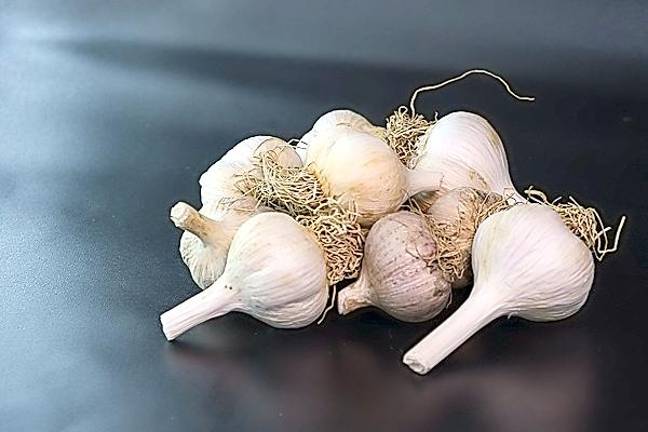 Garlic Gathering returns to Lafayette (Photo provided)