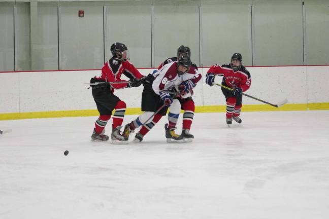 Newton-Lenape Valley win hockey matchup