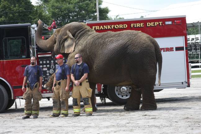 Summertime means County Fair Chief Mike Dann, Ed Risdon and Scott Klosterhoff of Frankford Fire Department were excited to do Beulah's power wash this year. Photo by Gale Miko